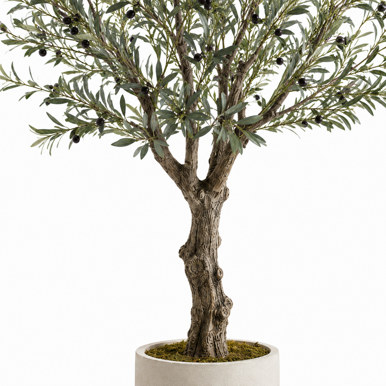 Agrsthme® Realistic Olive Tree with Natural Trunk
