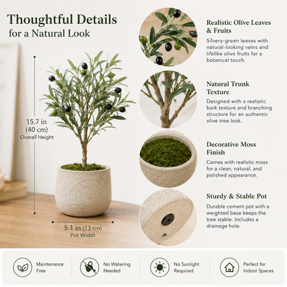 Agrsthme® Mini Potted Olive Tree for Tabletop Décor