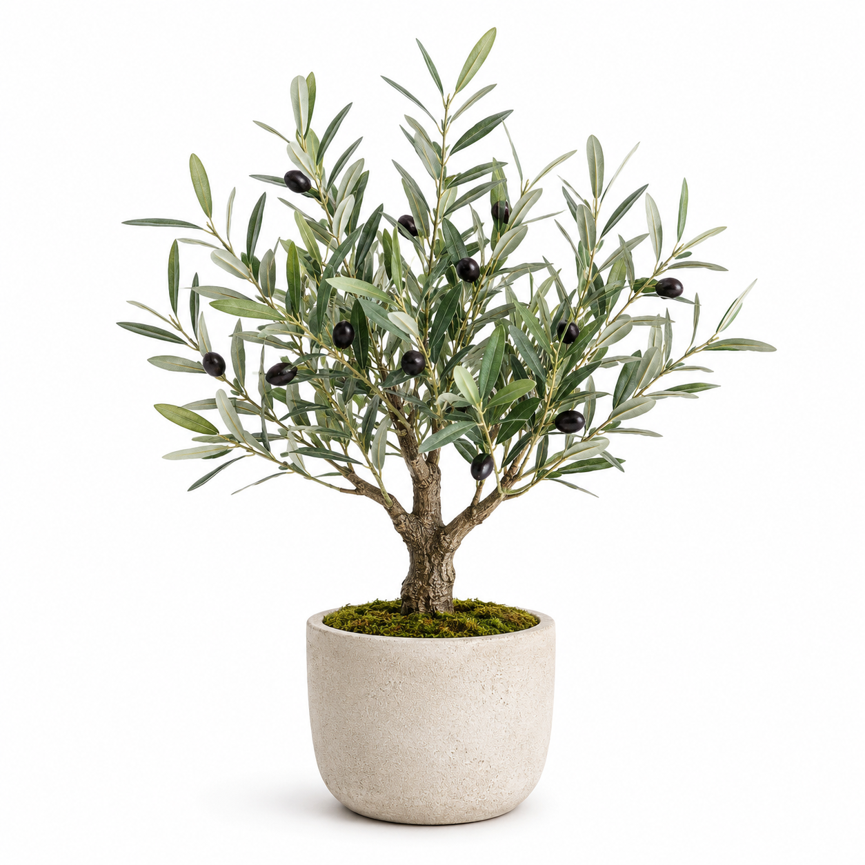 Agrsthme® Mini Potted Olive Tree for Tabletop Décor