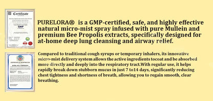 🍀🍀🐝🇨🇦 Official Store:𝐏𝐔𝐑𝐄𝐋𝐎𝐑𝐀®  6-in-1 Herbal BeePropolis Lung Cleanse Spray（👨‍⚕️Directly acts on COPD, asthma, chronic bronchitis (CB), respiratory infections, lung cancer, sinusitis, and other conditions🫁）