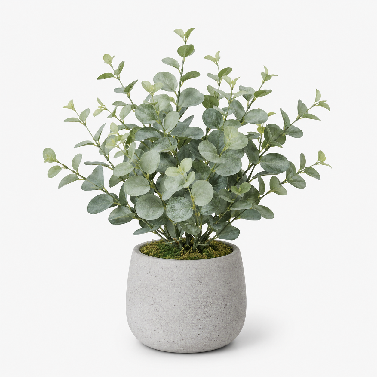 Agrsthme® Artificial Eucalyptus Plant in Cement Planter