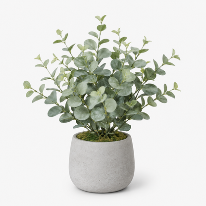 Agrsthme® Artificial Eucalyptus Plant in Cement Planter