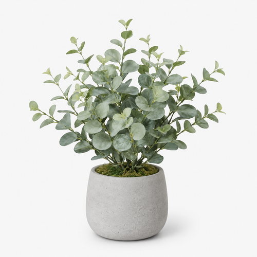 Agrsthme® Artificial Eucalyptus Plant in Cement Planter