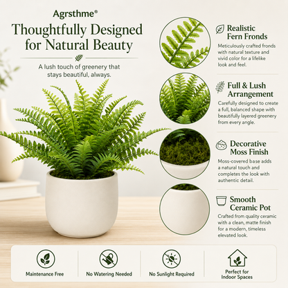 Agrsthme® Small Artificial Fern in Ceramic Pot