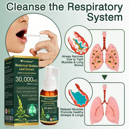 ✅ Official Canadian Flagship Store: Curalona® Mullein Leaf Extract Lung Cleansing Spray (👨‍⚕️ Directly targets COPD, asthma, chronic bronchitis, respiratory infections, lung cancer, sinusitis, and other lung-related conditions)